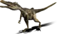 Velociraptor