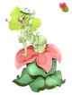 Bimbo Plant 