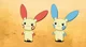 Plusle and Minun