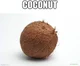 THE MEME COCONUT MAN