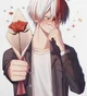 Shoto todoroki 