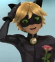 Cat noir