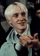 Draco the simp15