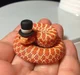 Snake inside