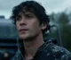 Bellamy Blake 
