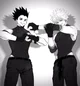 Gon e killua