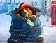 Paddington bear