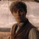 Newt Scamander