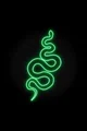 Slytherin boys