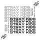 stray kids