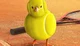 Pollito tenis