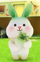 Radish Rabbit