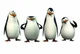Los penguinos 