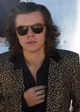 Harry Styles 