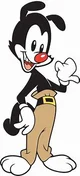 Yakko Warner