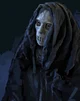 Death eaters