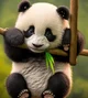 baby panda