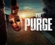 The Purge