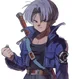 Trunks Brief
