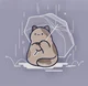 Rainy cat
