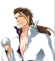 Aizen and Gin