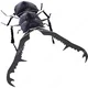 stag beetle