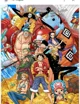 One Piece rp