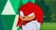 Knuckles The Echidna