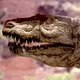 Postosuchus