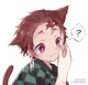 Tanjiro Cat Boy 