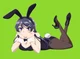Sus bunny girl