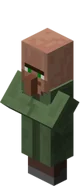 Villager Nitwit
