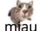 Miau