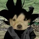 Perro Goku black