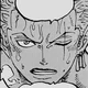 OP-Roronoa Zoro