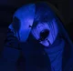 Eyeless Jack