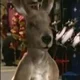 Rocky The Kangaroo