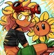 Solar Flare 