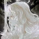 Griffith OOC