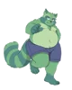 Fat raccoon 