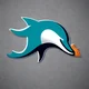 Dolphins fan