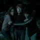 Hermione Rony Harry 