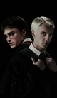 Harry e Draco 