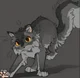 Graystripe