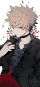 Villain Bakugou