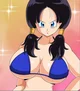 Videl 