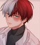 Shoto Todoroki