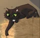 Ravenpaw