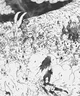RPG Naruto 2