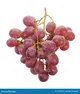 Grape